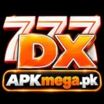 777DX Logo
