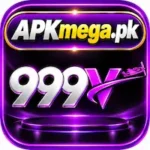 999V logo