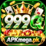 999Q Logo